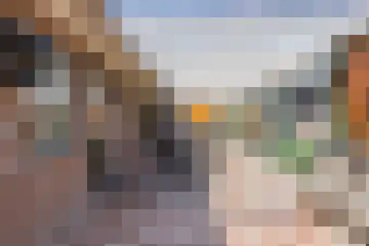 Broekhoek 24 Heesch thumbnail 31