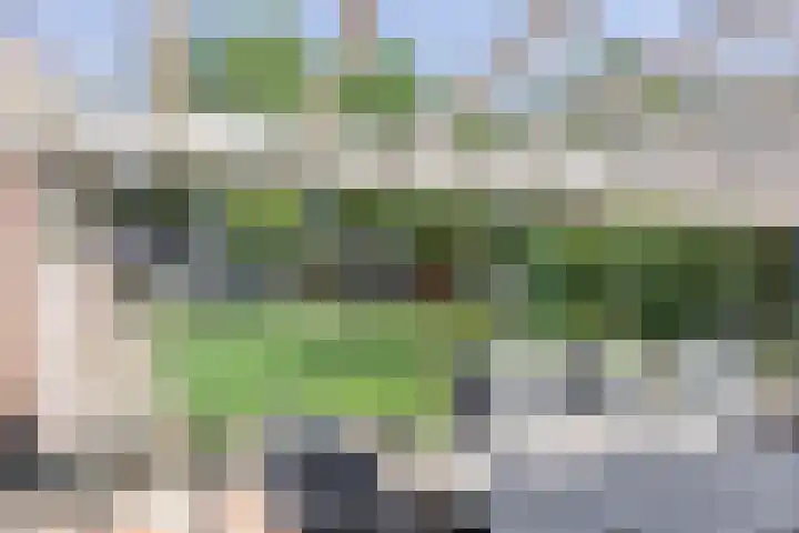 Broekhoek 24 Heesch thumbnail 33