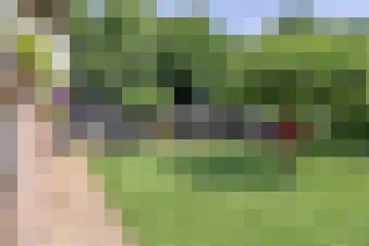 Broekhoek 24 Heesch thumbnail 34