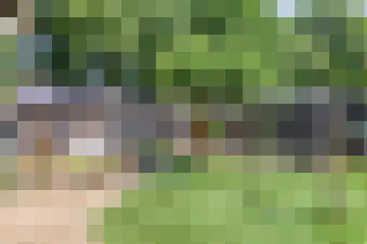Broekhoek 24 Heesch thumbnail 35