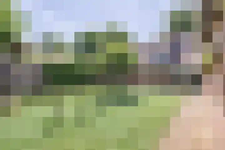 Broekhoek 24 Heesch thumbnail 36