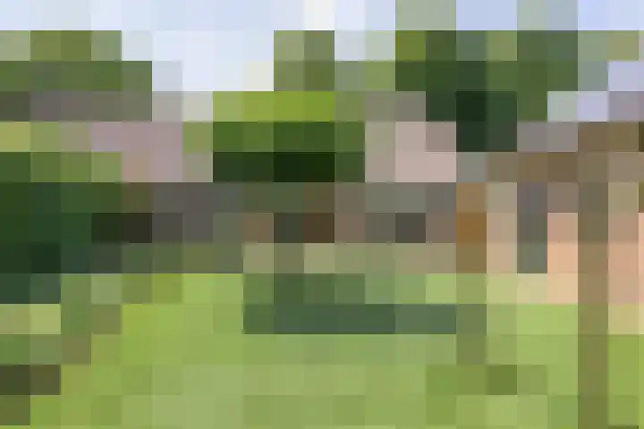 Broekhoek 24 Heesch thumbnail 37