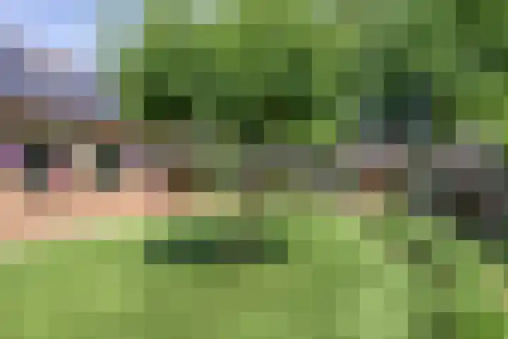 Broekhoek 24 Heesch thumbnail 38