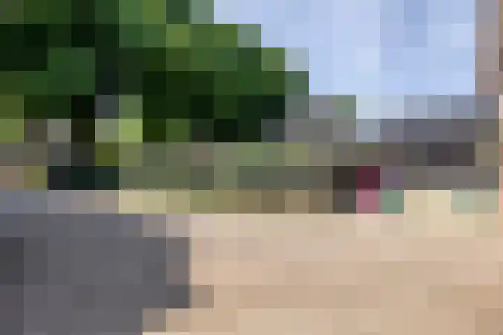 Broekhoek 24 Heesch thumbnail 39