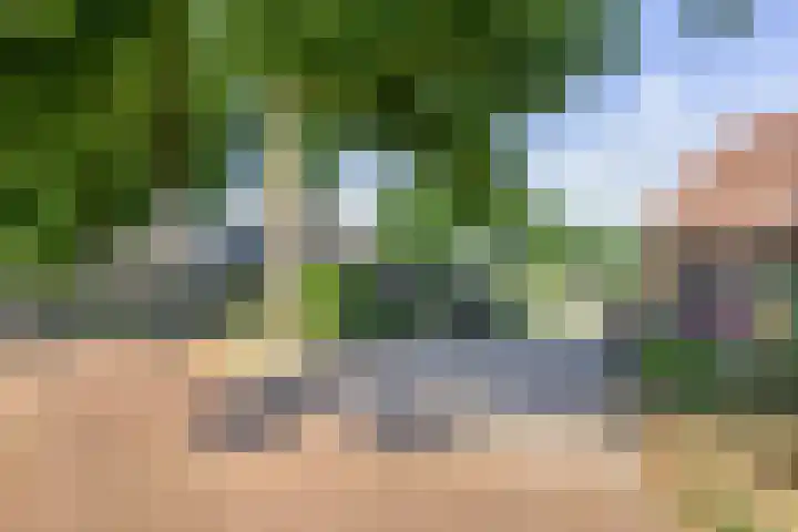 Broekhoek 24 Heesch thumbnail 43