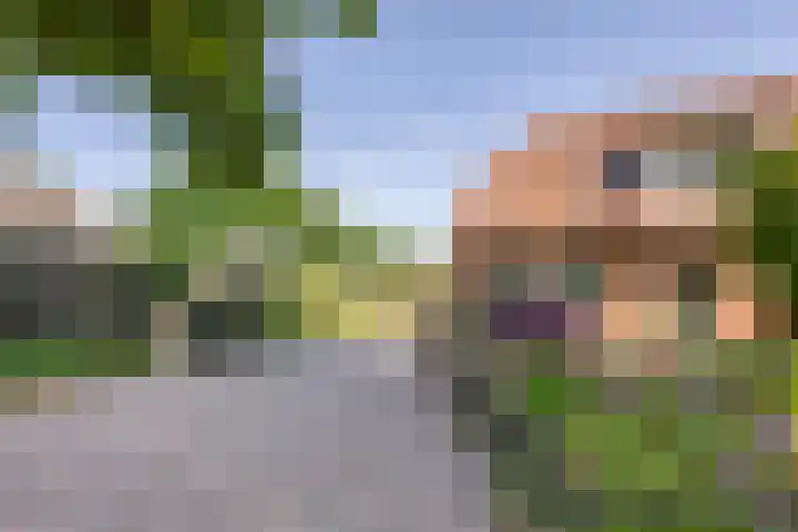 Broekhoek 24 Heesch thumbnail 44