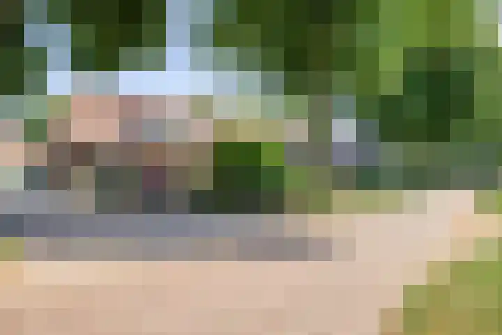 Broekhoek 24 Heesch thumbnail 46