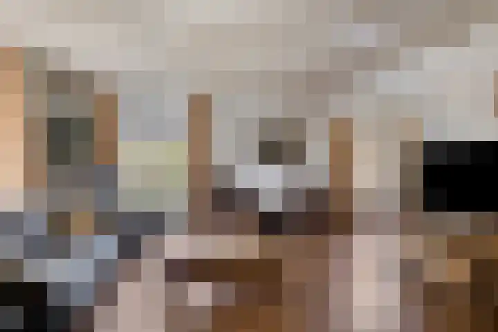 Broekhoek 24 Heesch thumbnail 6