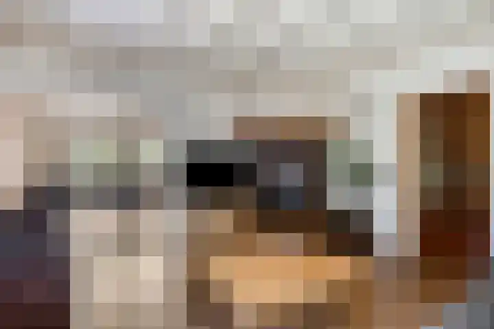 Broekhoek 24 Heesch thumbnail 7