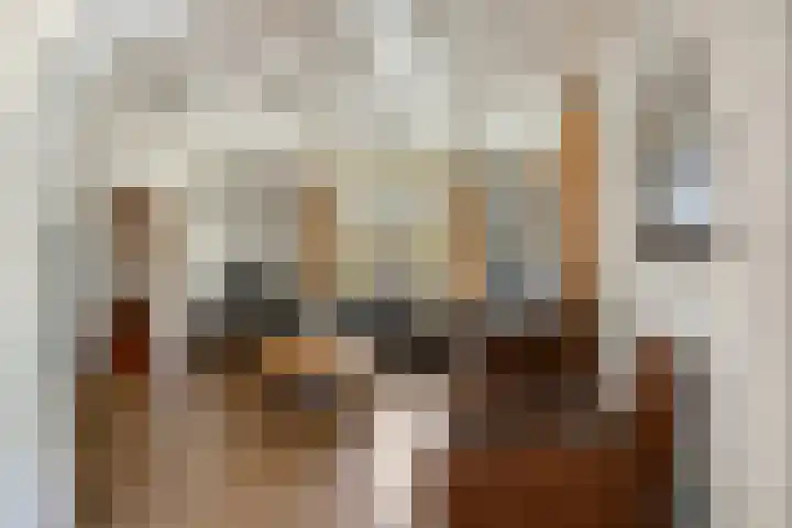 Broekhoek 24 Heesch thumbnail 9