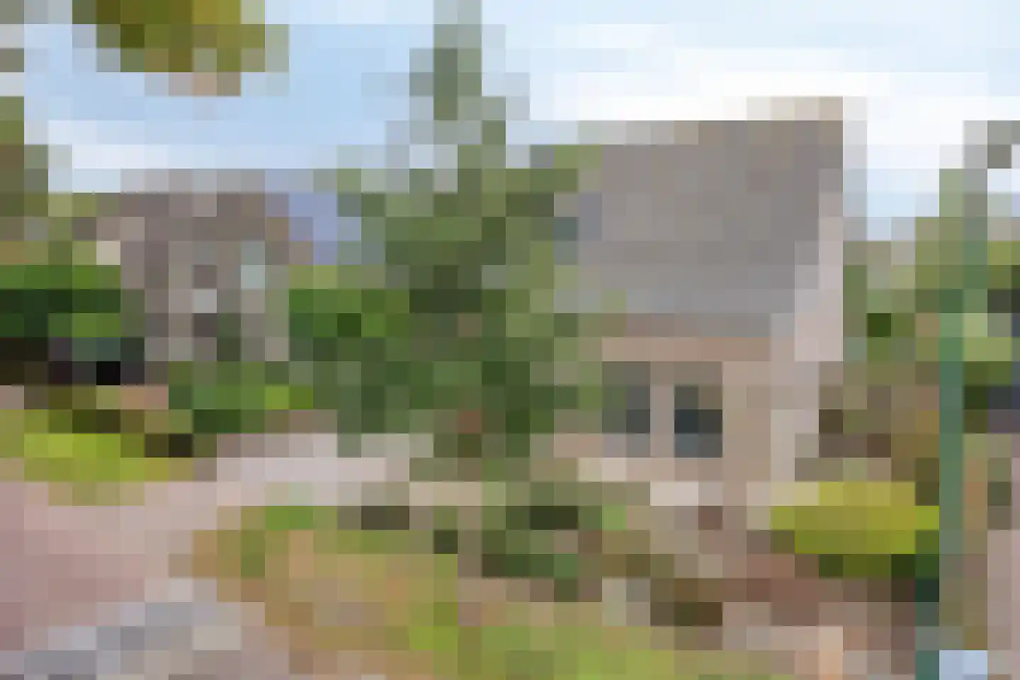Broekhoek 47 Heesch thumbnail 7