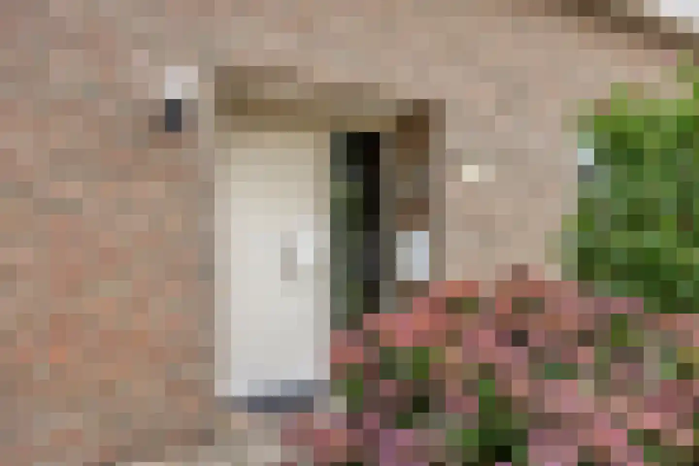 Broekhoek 47 Heesch thumbnail 9