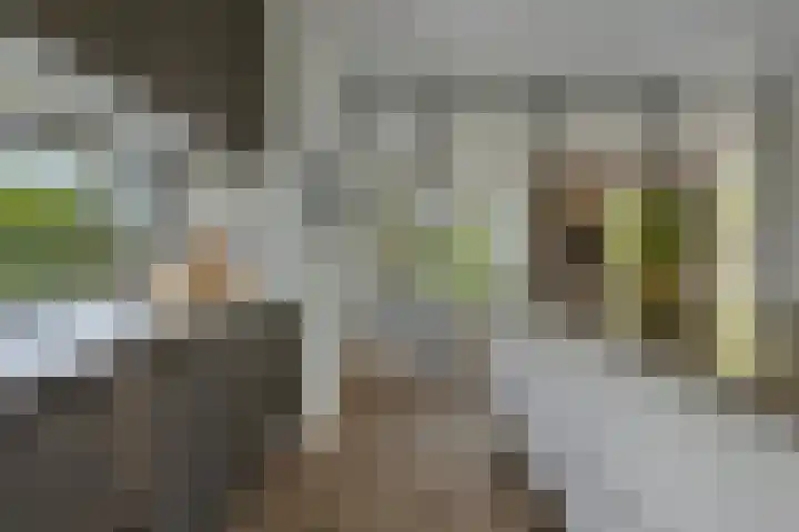 Broekhoek 8 Heesch thumbnail 10