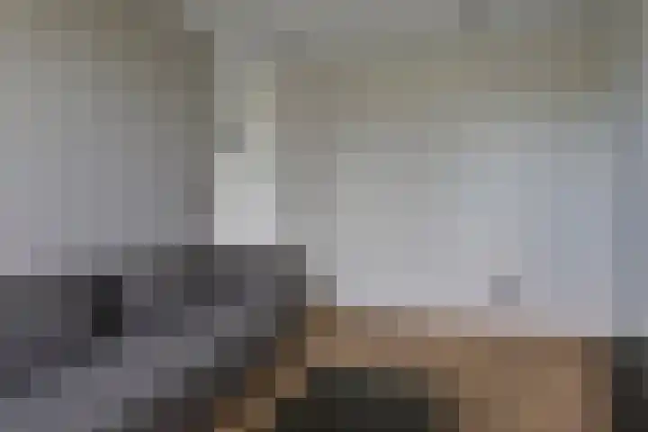 Broekhoek 8 Heesch thumbnail 18