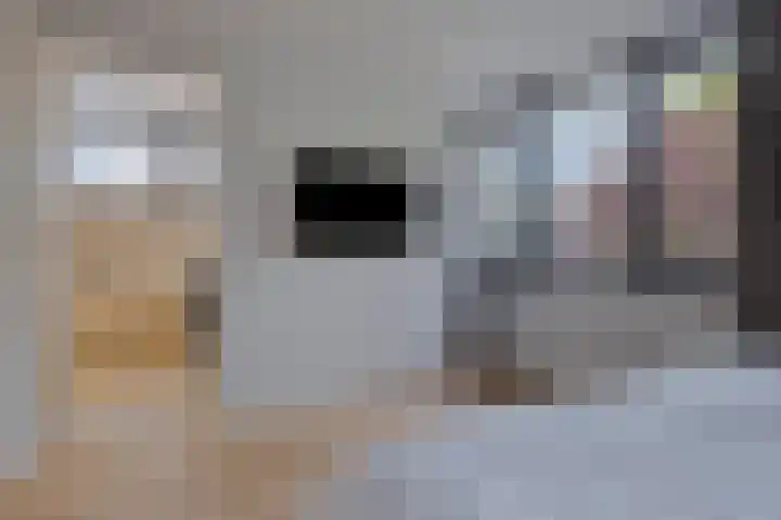 Broekhoek 8 Heesch thumbnail 24