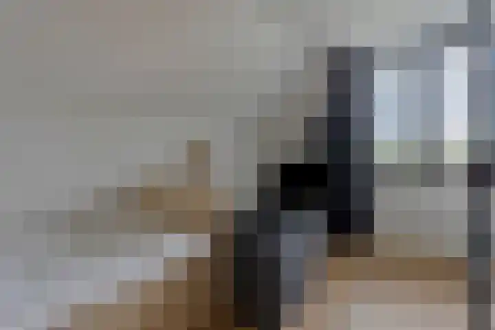 Broekhoek 8 Heesch thumbnail 30