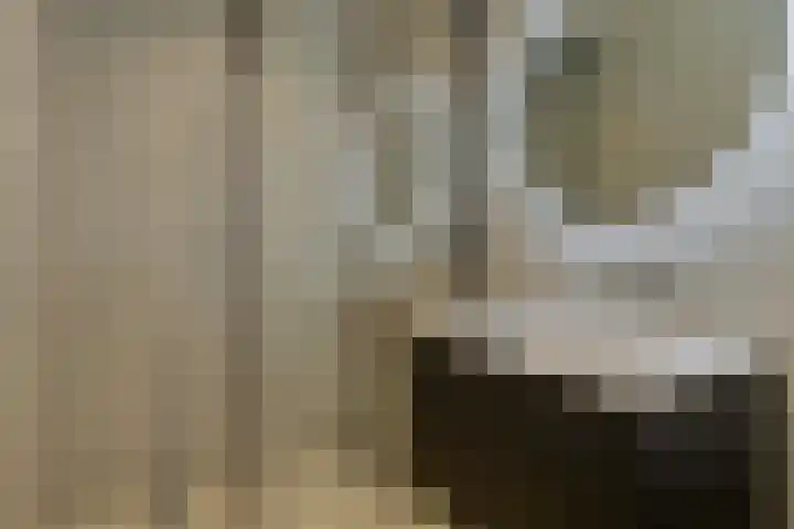 Broekhoek 8 Heesch thumbnail 33