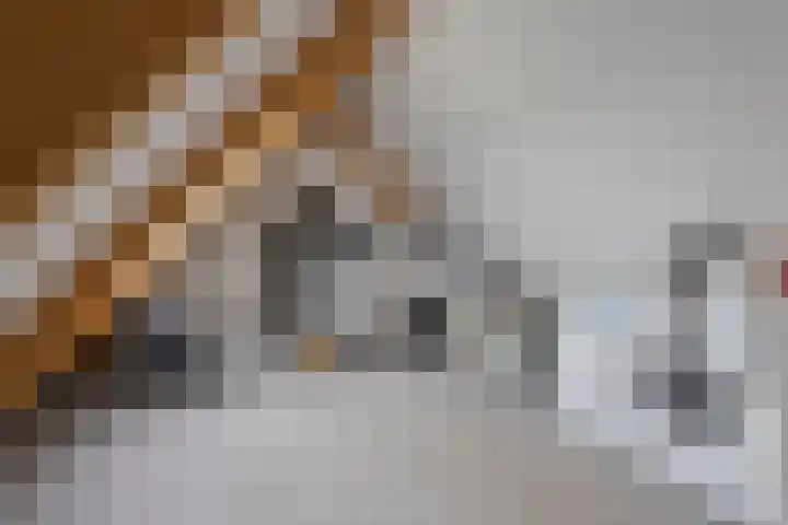 Broekhoek 8 Heesch thumbnail 38