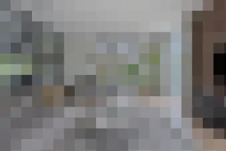 Broekhoek 8 Heesch thumbnail 4