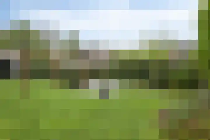 Broekhoek 8 Heesch thumbnail 44