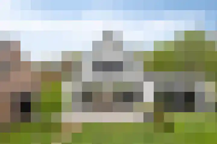 Broekhoek 8 Heesch thumbnail 45