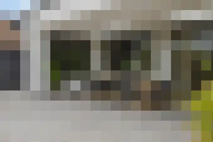 Broekhoek 8 Heesch thumbnail 46