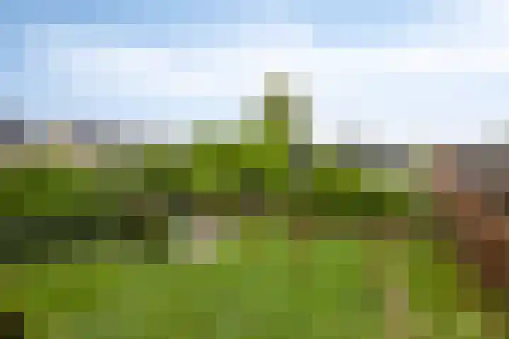 Broekhoek 8 Heesch thumbnail 50