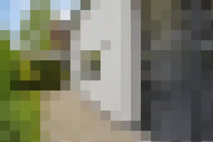 Broekhoek 8 Heesch thumbnail 52