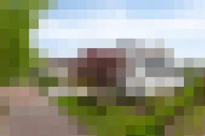 Broekhoek 8 Heesch thumbnail 56