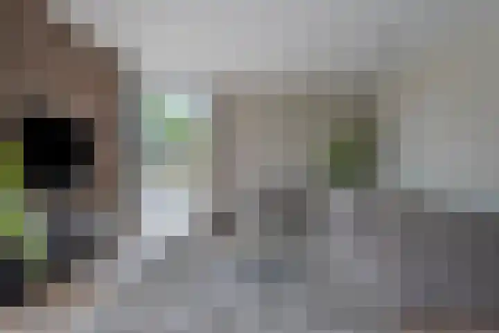Broekhoek 8 Heesch thumbnail 6