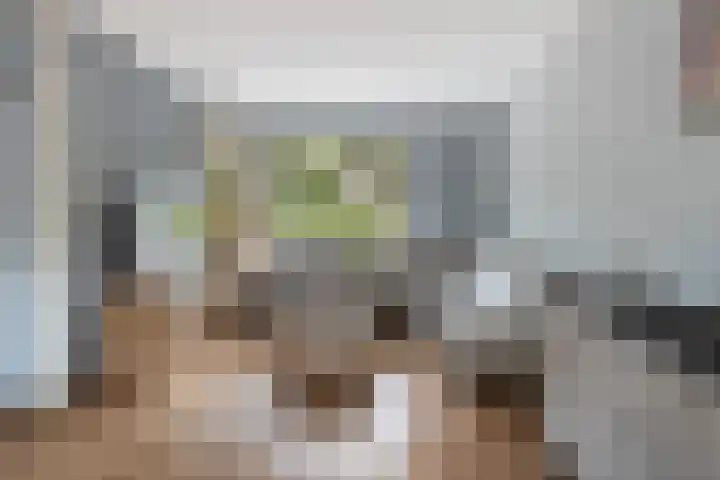 Broekhorst 11 Alphen aan den Rijn thumbnail 13