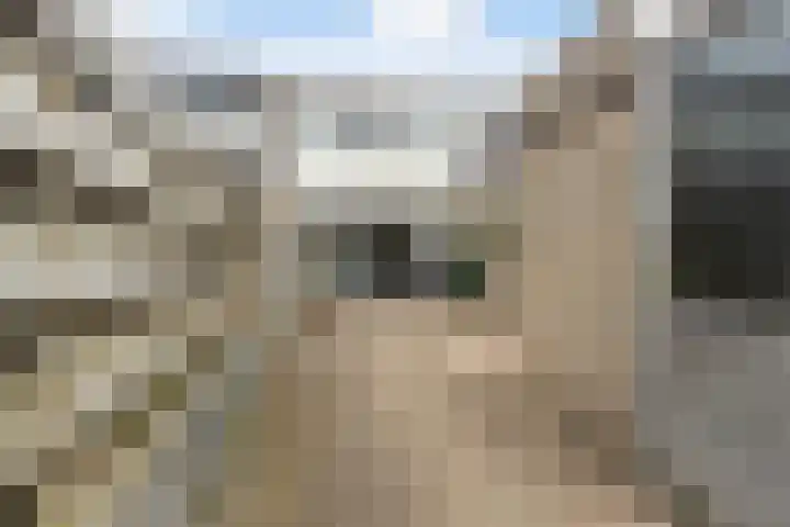 Broekhorst 11 Alphen aan den Rijn thumbnail 21