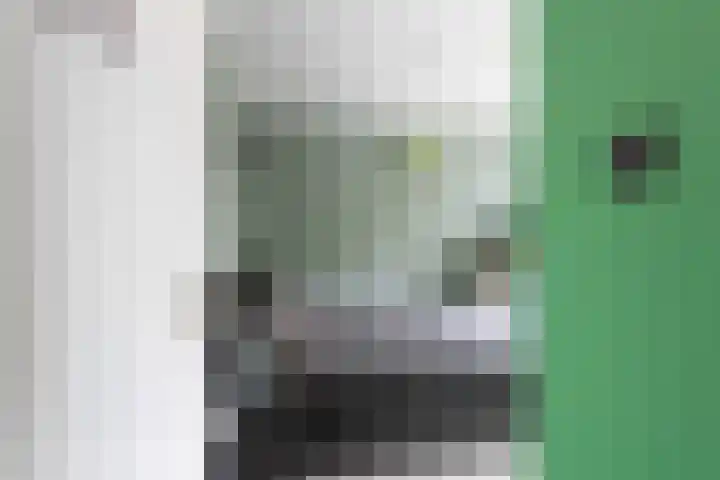 Broekhorst 11 Alphen aan den Rijn thumbnail 23
