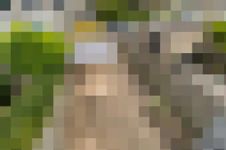 Broekhorst 11 Alphen aan den Rijn thumbnail 38