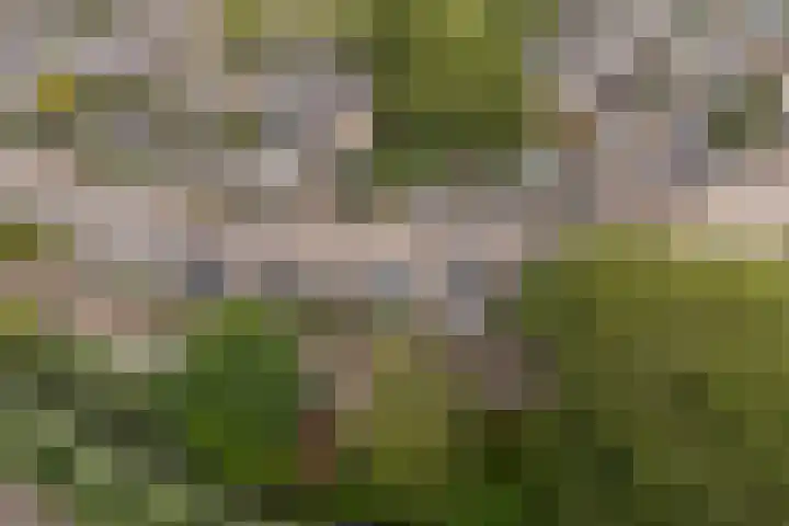 Broekhorst 11 Alphen aan den Rijn thumbnail 4
