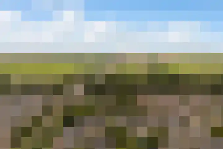 Broekhorst 11 Alphen aan den Rijn thumbnail 40