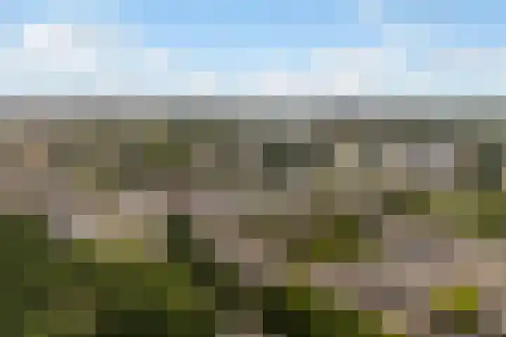 Broekhorst 11 Alphen aan den Rijn thumbnail 41