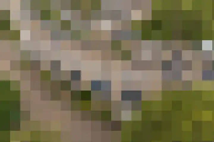 Broekhorst 11 Alphen aan den Rijn thumbnail 5