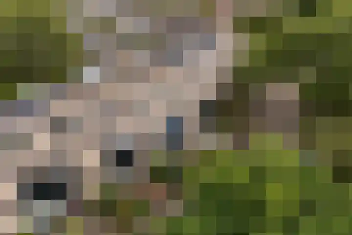 Broekhorst 11 Alphen aan den Rijn thumbnail 6