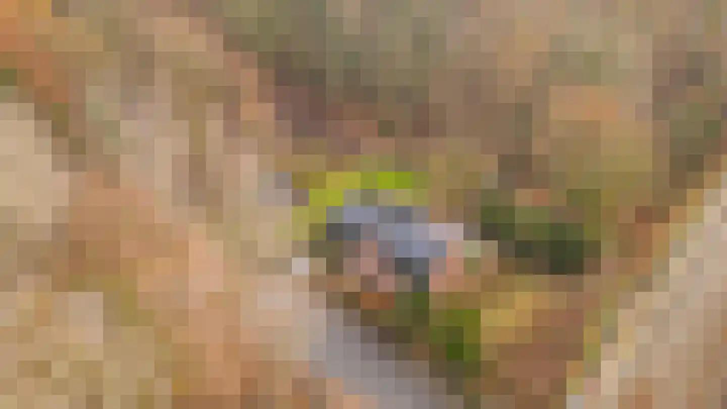 Broekhoven 10 a Geulle thumbnail 12