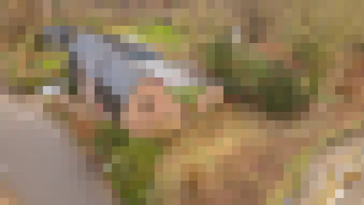 Broekhoven 10 a Geulle thumbnail 13