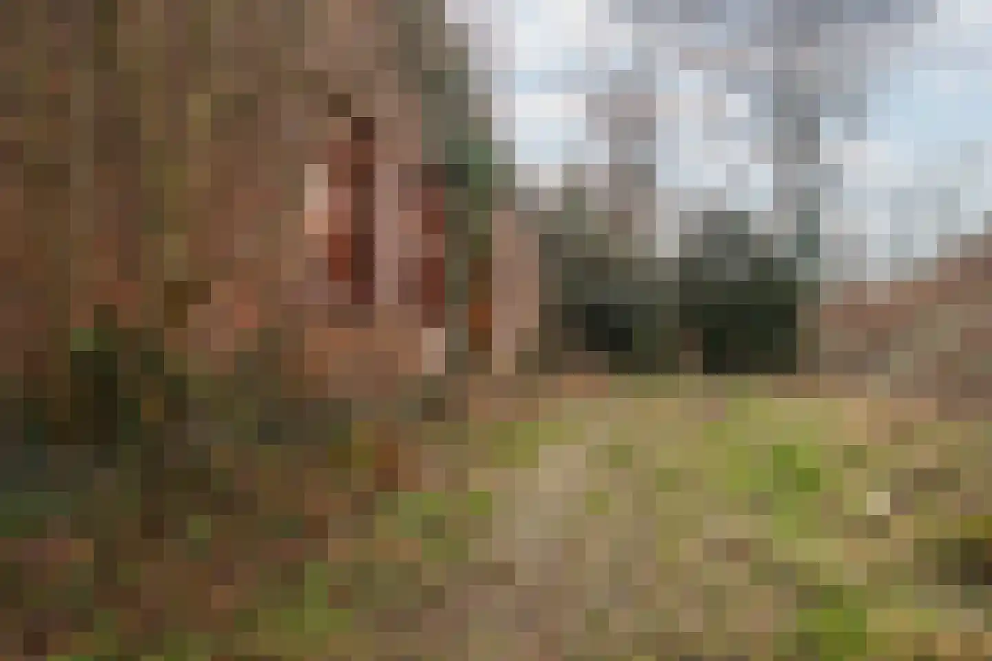 Broekhoven 10 a Geulle thumbnail 14