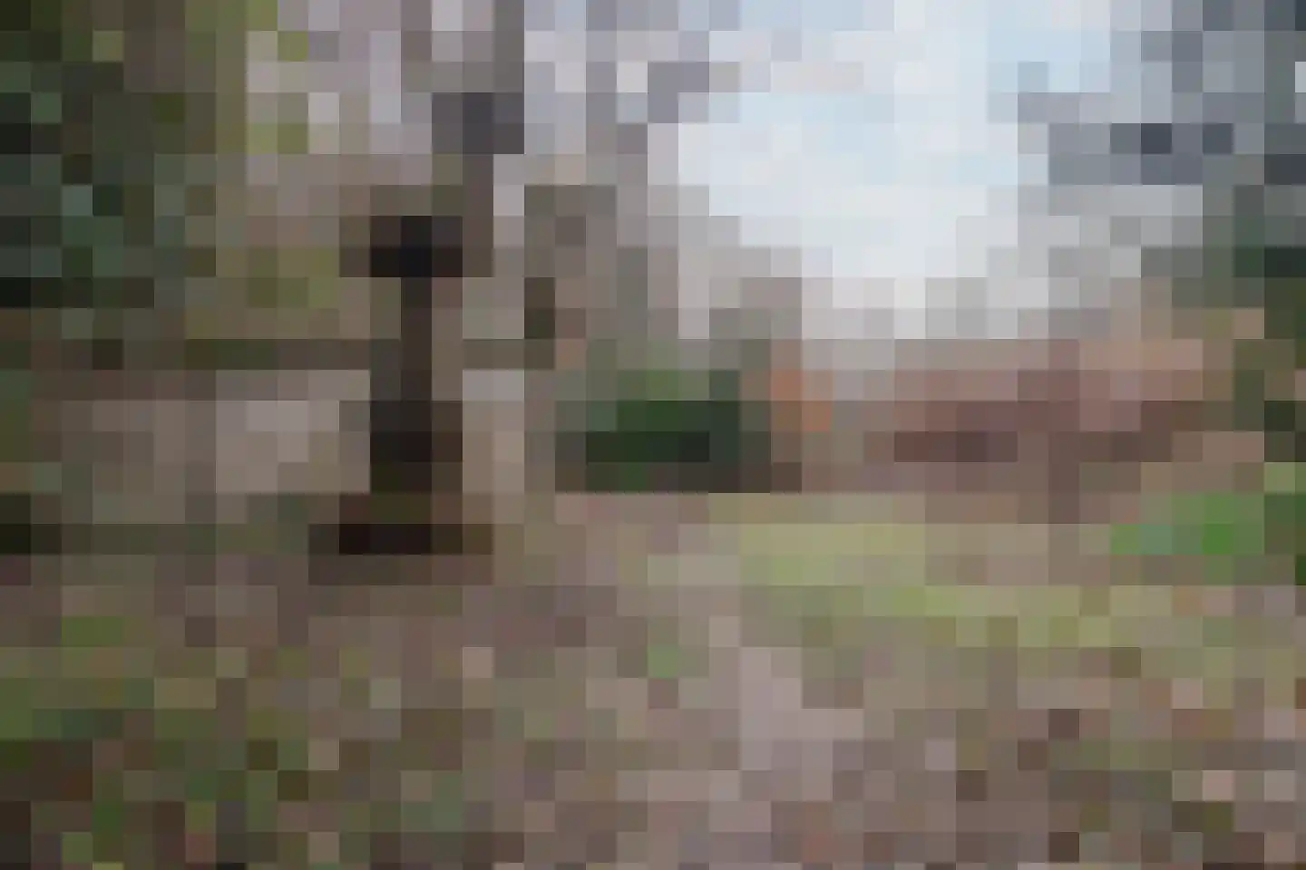 Broekhoven 10 a Geulle thumbnail 15