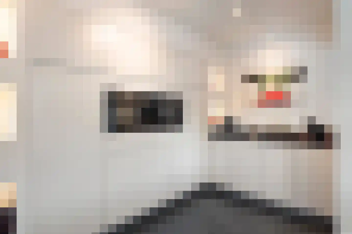 Broekhovenlaan 63 Beek thumbnail 24