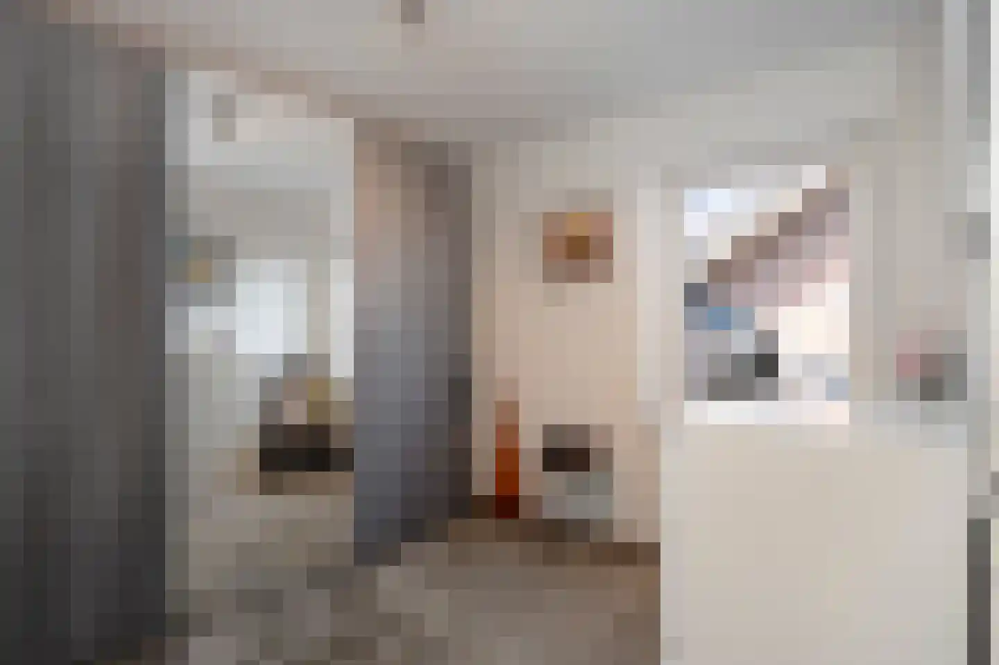 Broekhovenlaan 63 Beek thumbnail 37