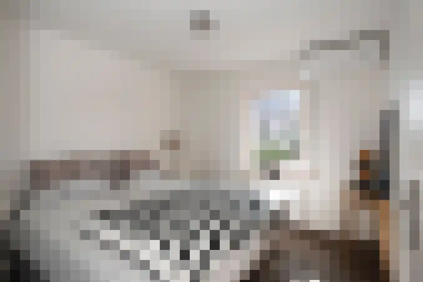 Broekhovenlaan 63 Beek thumbnail 38