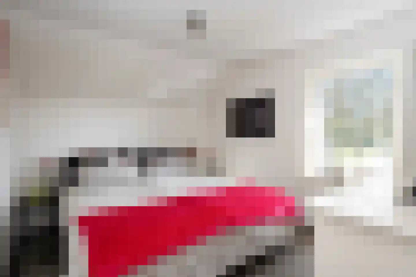 Broekhovenlaan 63 Beek thumbnail 41