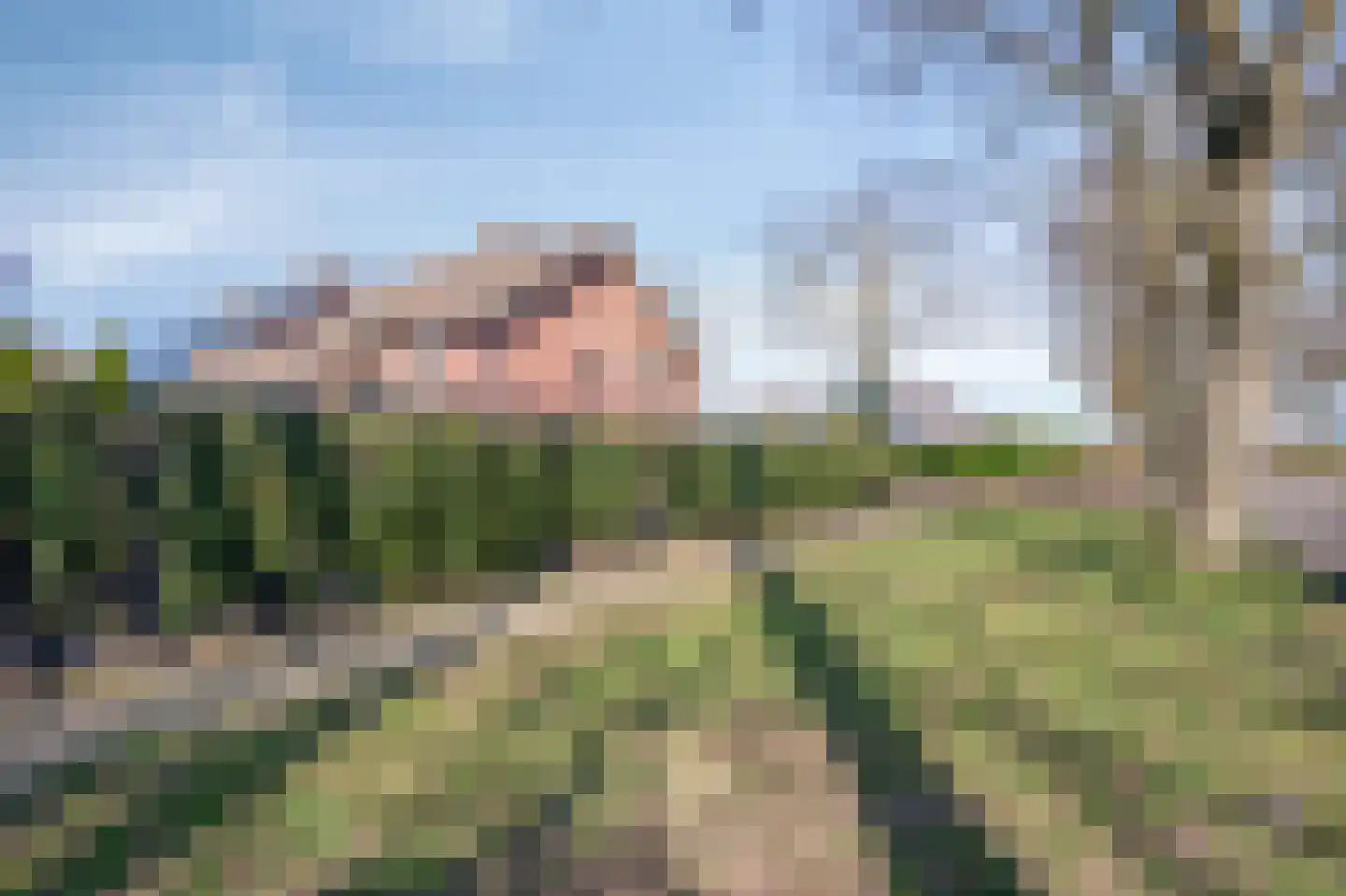 Broekhovenlaan 63 Beek thumbnail 9