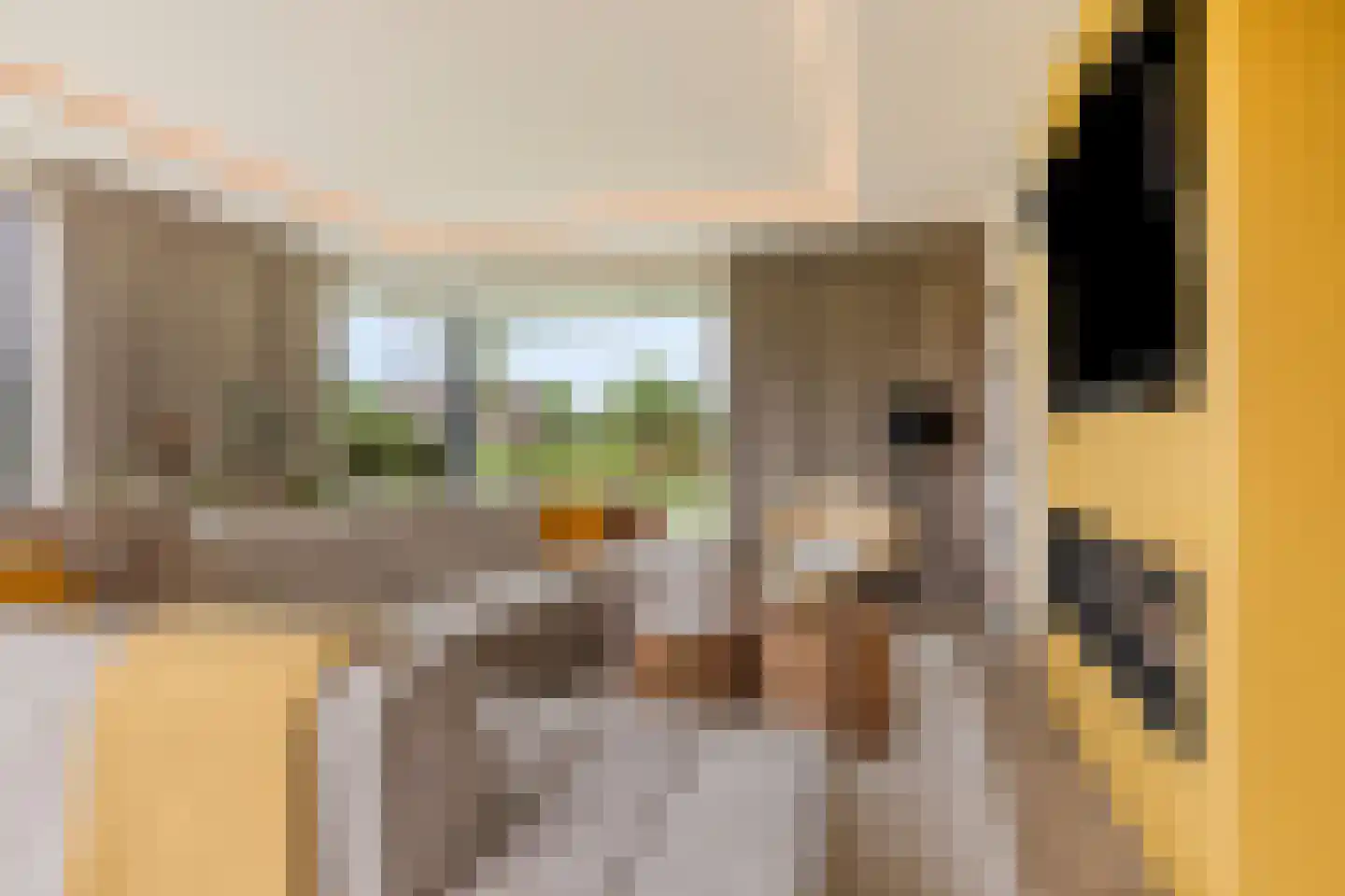 Broekhovenpad 2 Nieuwerbrug aan den Rijn thumbnail 15