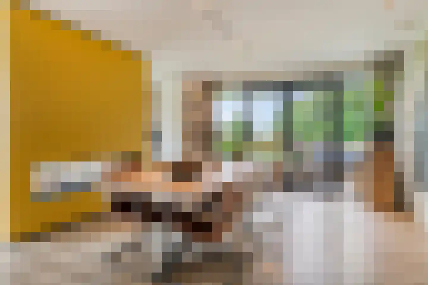 Broekhovenpad 2 Nieuwerbrug aan den Rijn thumbnail 20